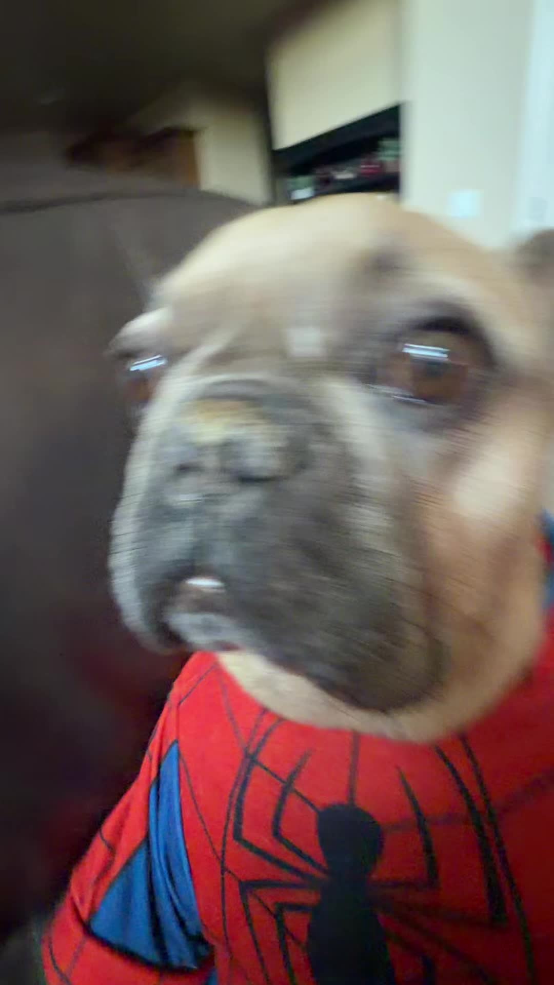 @bentleytheg0at