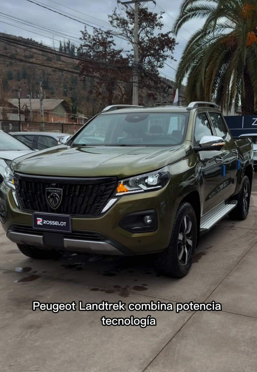 @Automotriz Rosselot