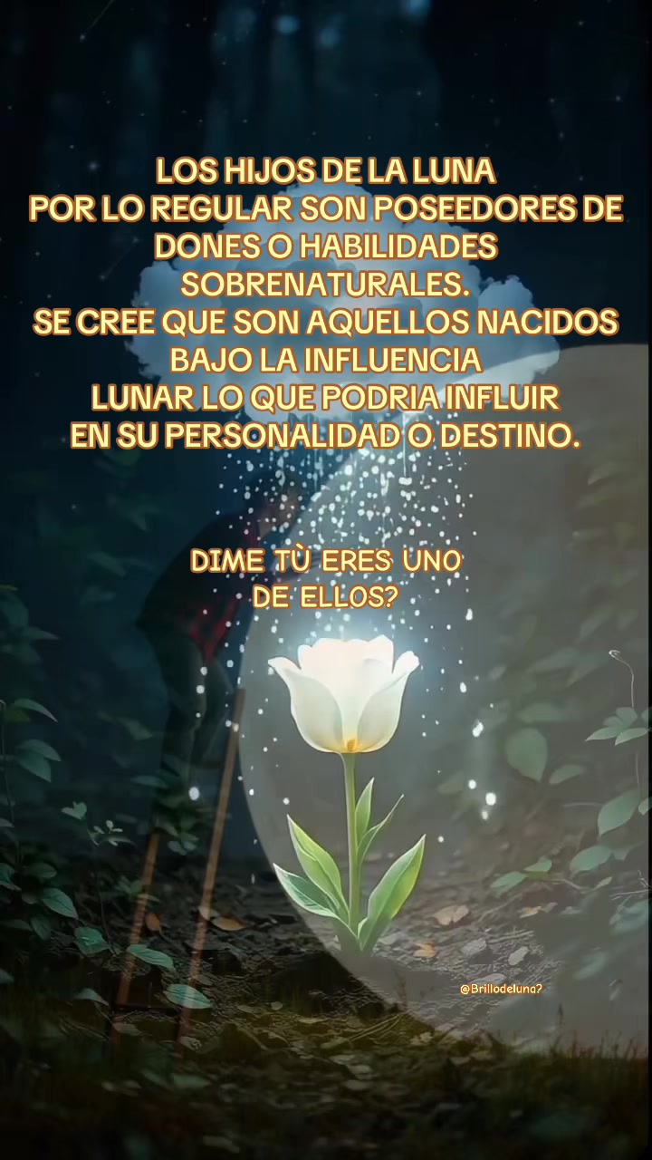 @🌙✨🦋Brillo de luna🦋🌙💫