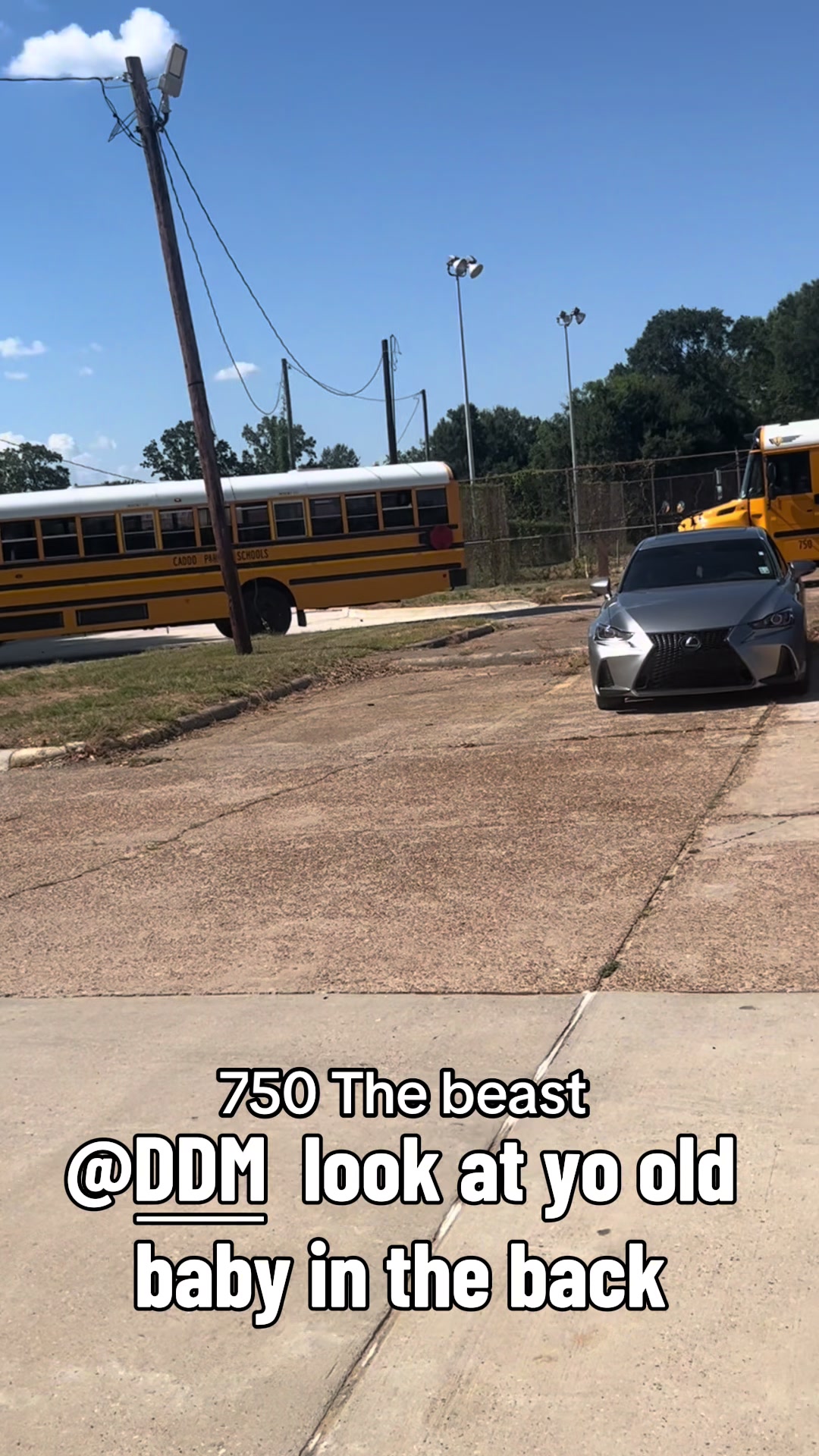 @Bluebirdbus302