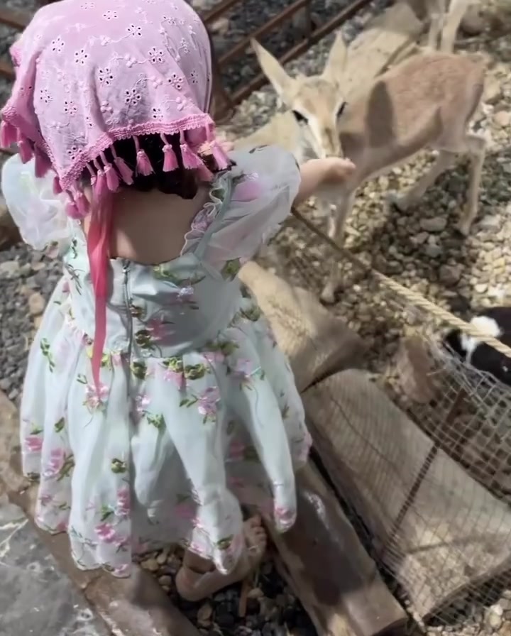 @كردية