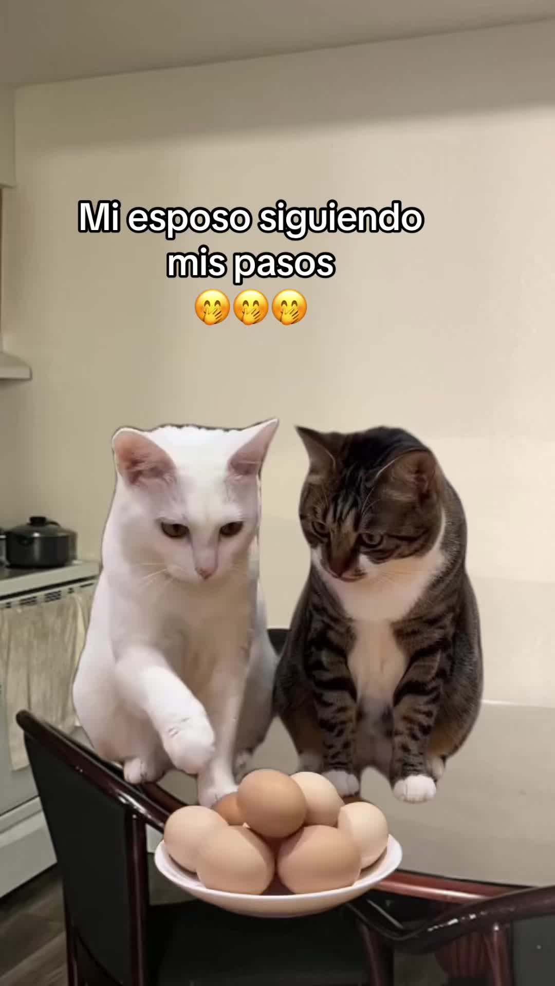 @𝓜𝓪𝓻𝓰𝓪𝓻𝓪.𝓞𝓯𝓲𝓬𝓲𝓪𝓵✨