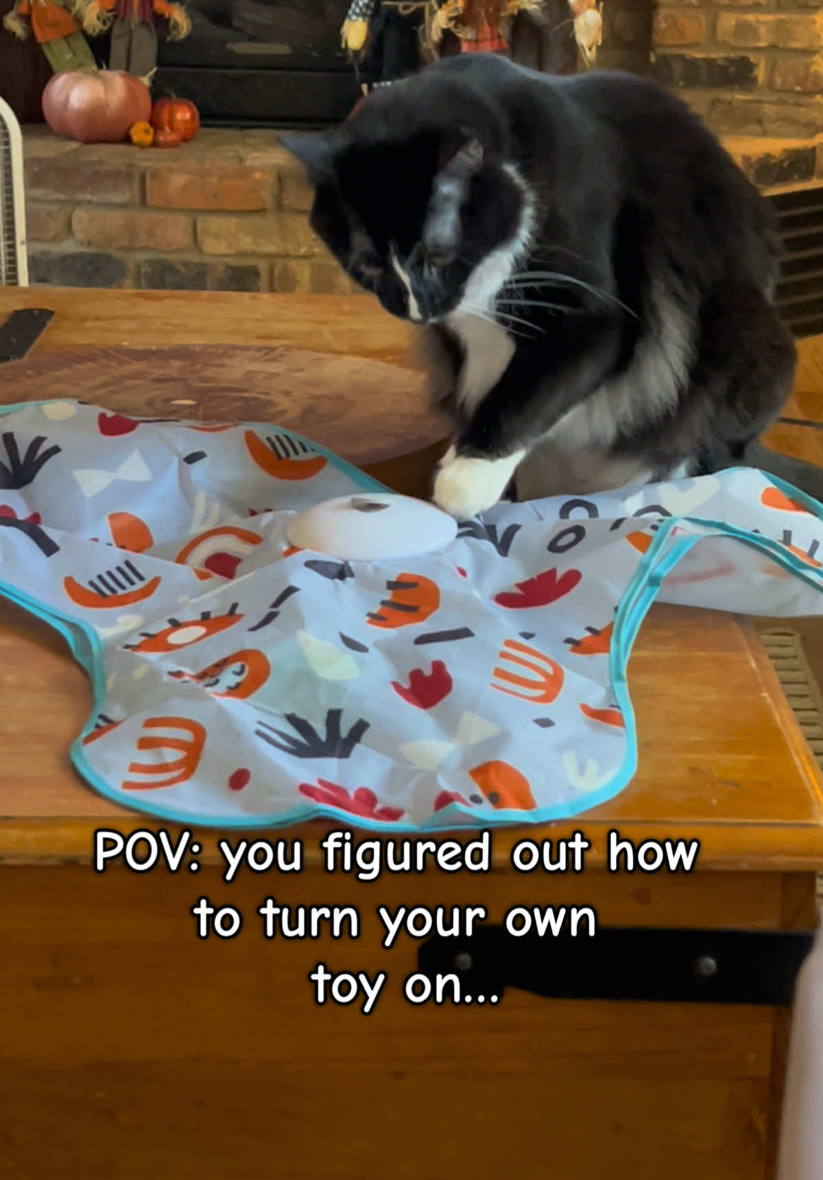 @presleythetuxie