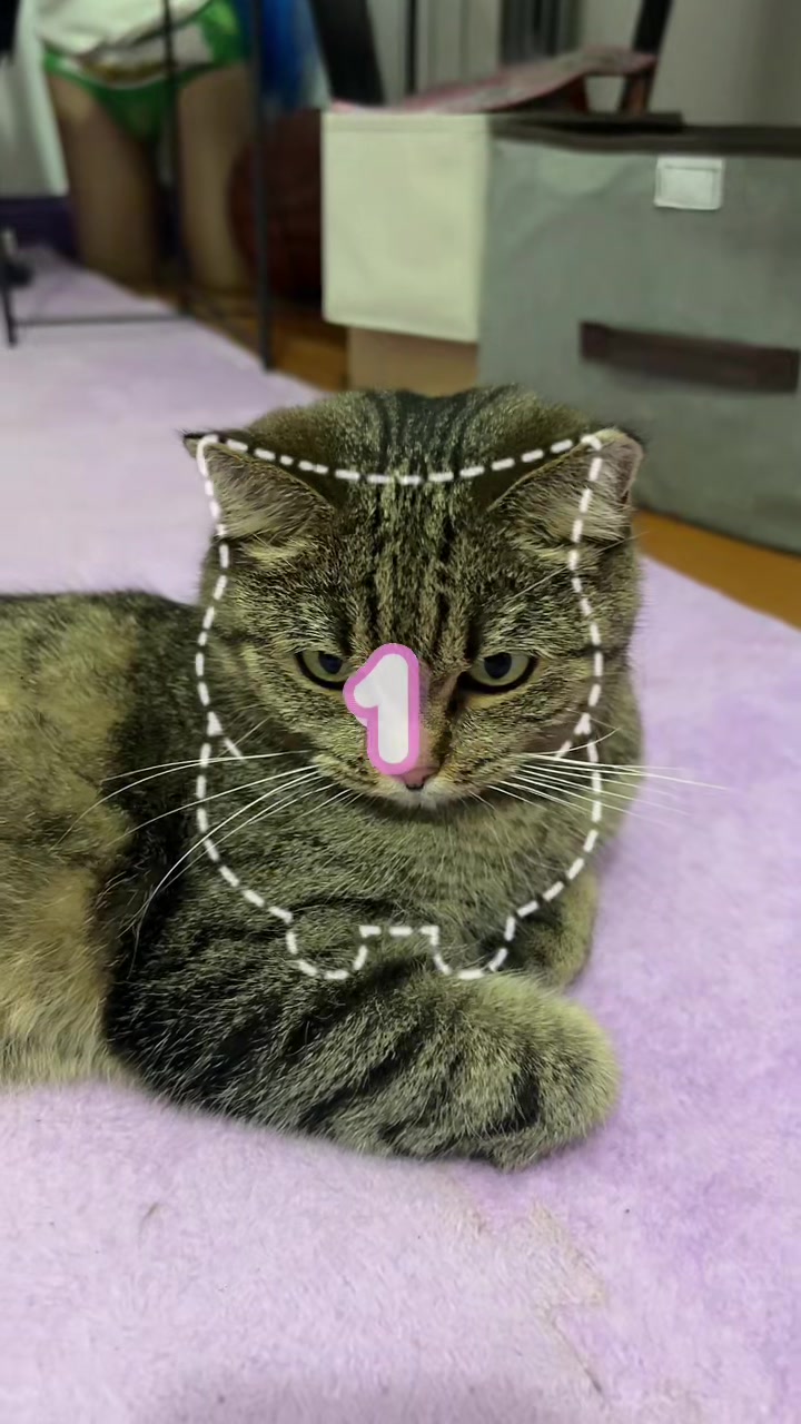 @няманяма