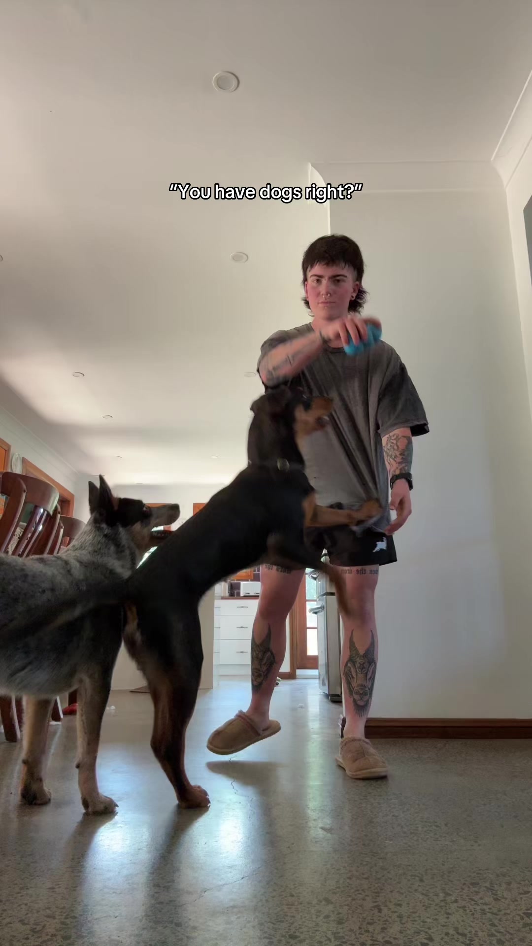 @dieseldogdeathcult
