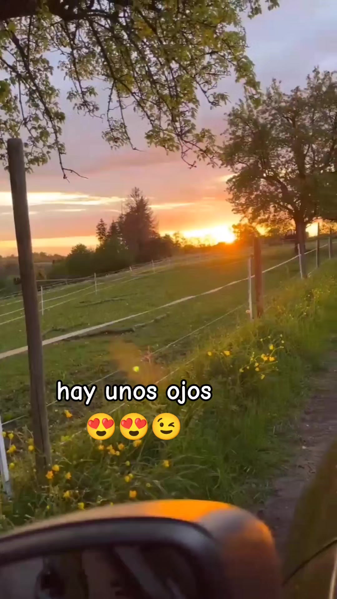 @Rossy Naviidad