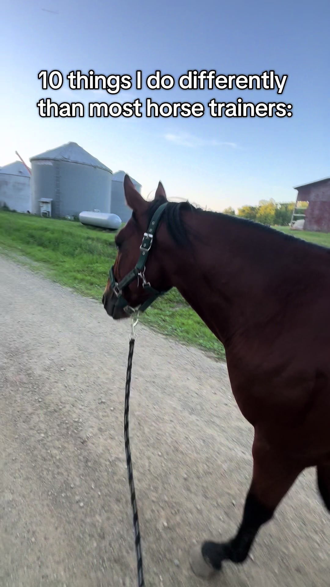 @NWPA Equine Sanctuary