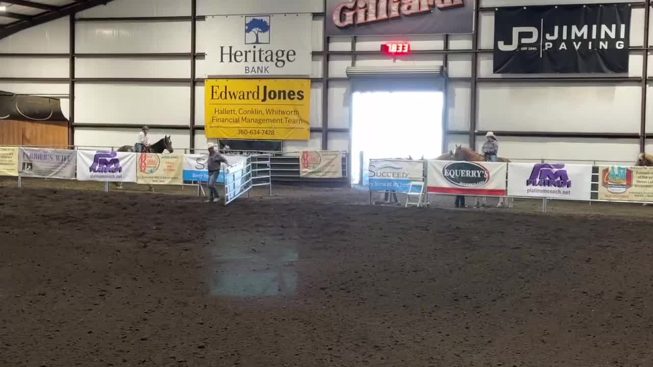 @TF Performance Horses
