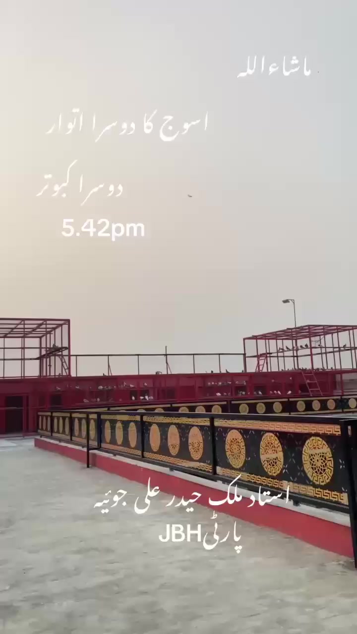 @👑 Fateh راجپوت ⚜️