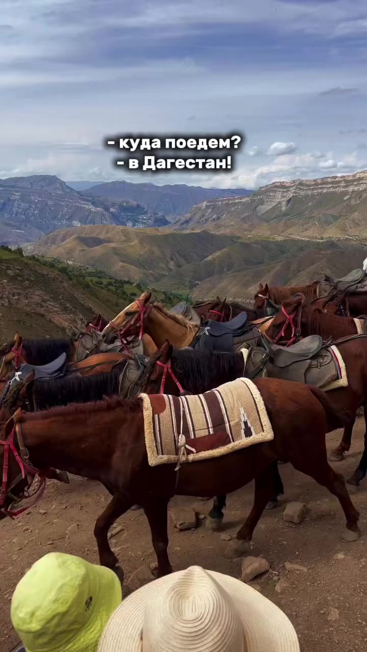@chalda_travel
