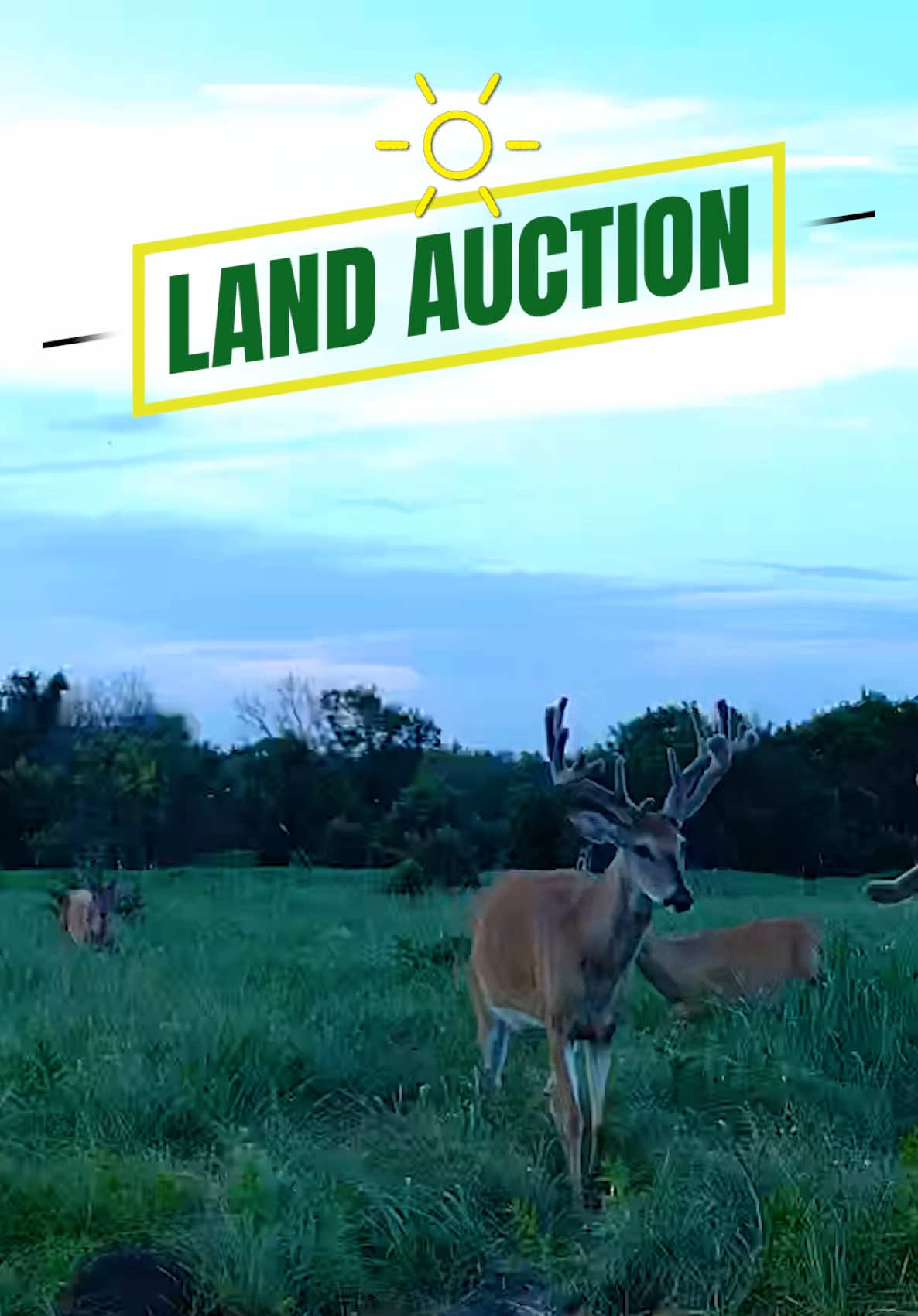 @Sundgren Realty & Auction