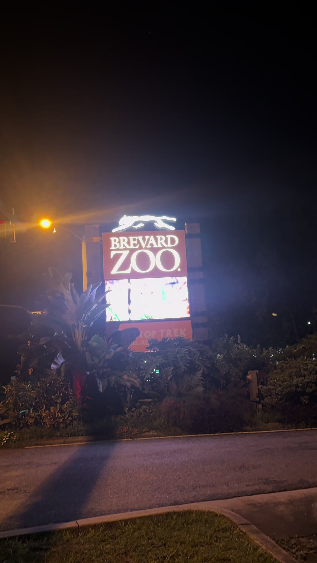 @Brevard pisser