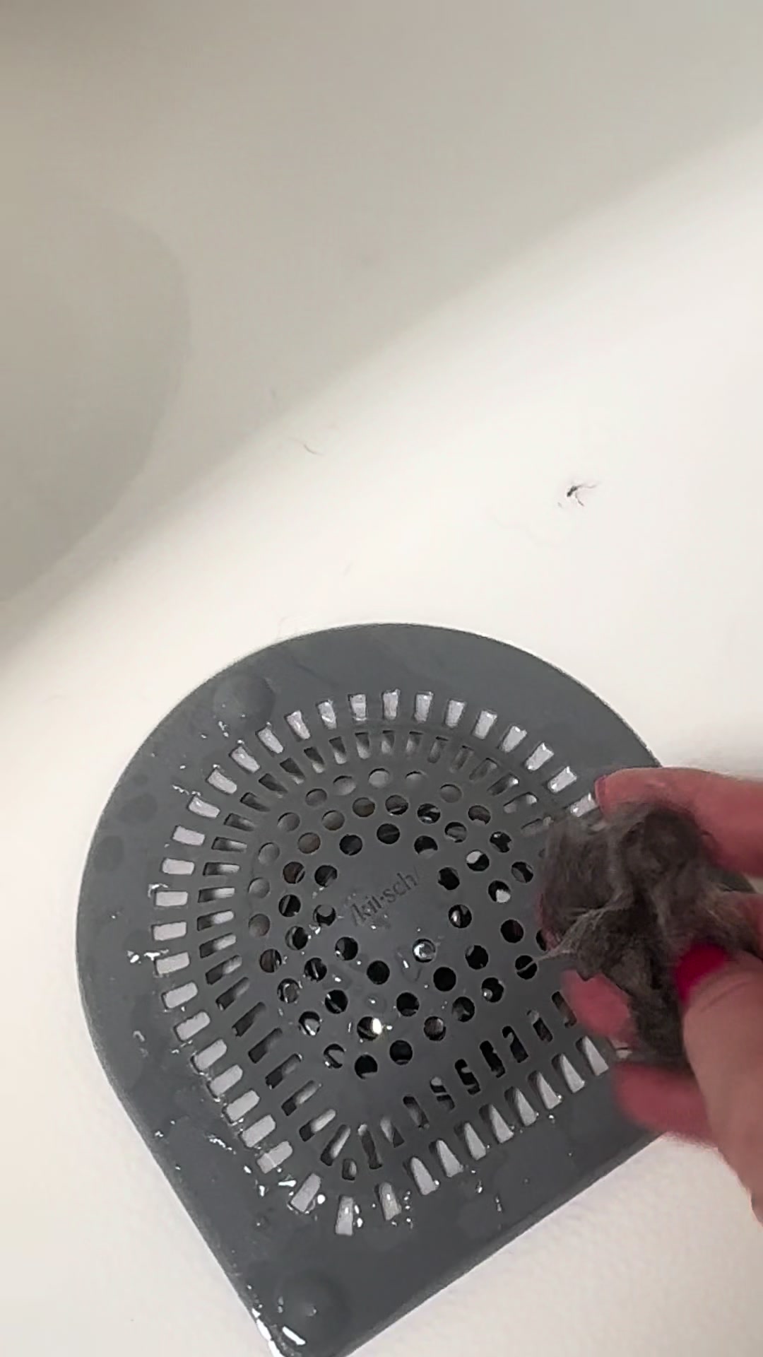 @leeanimal_