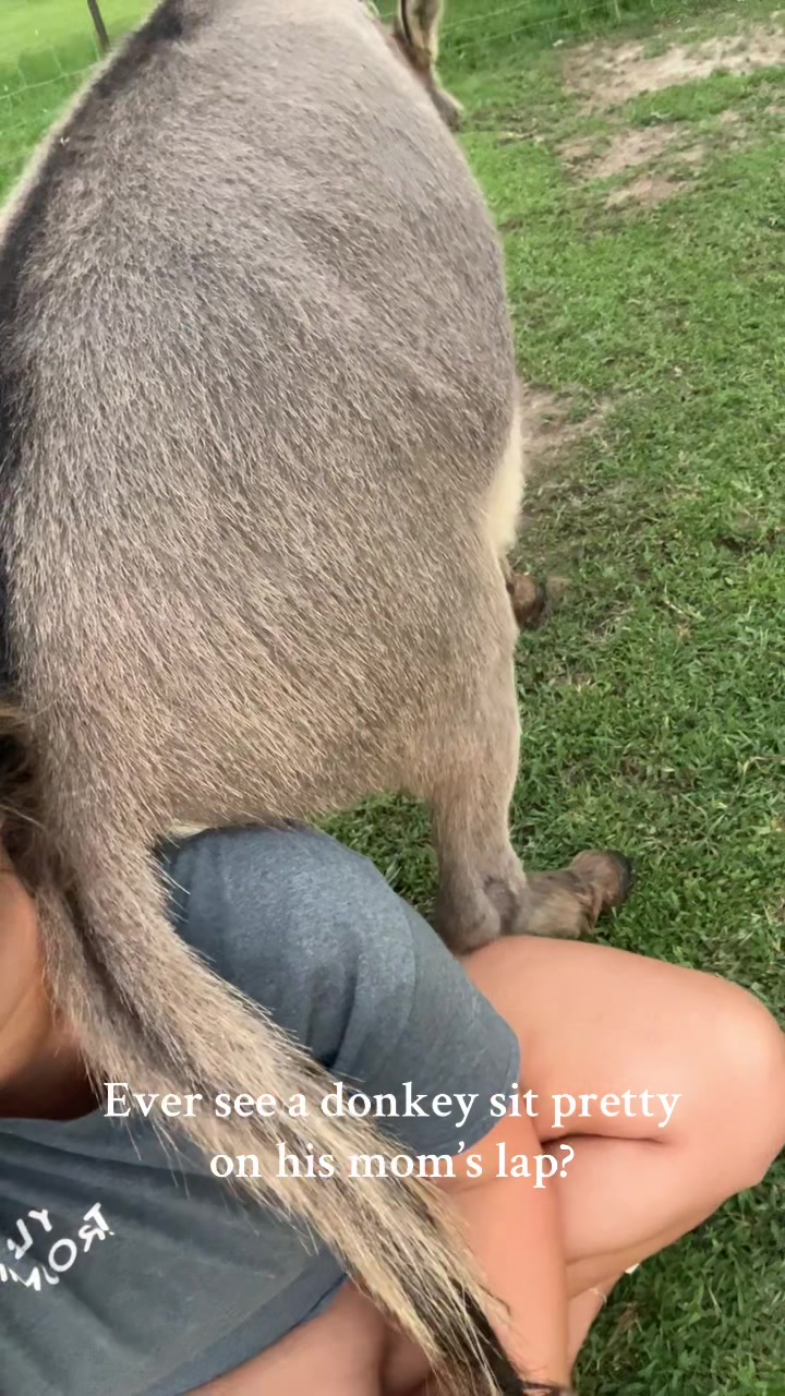 @Taylorrose