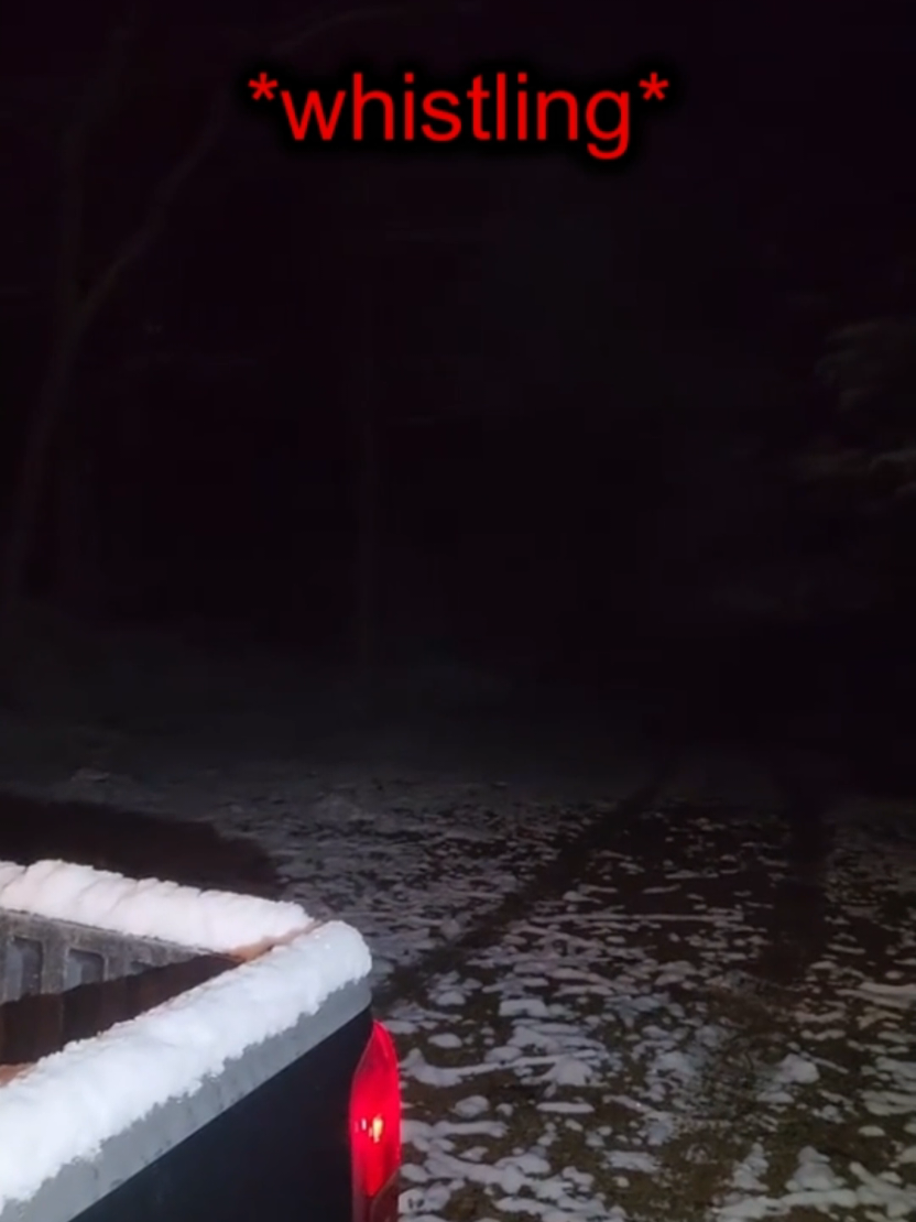 @DarkMoose