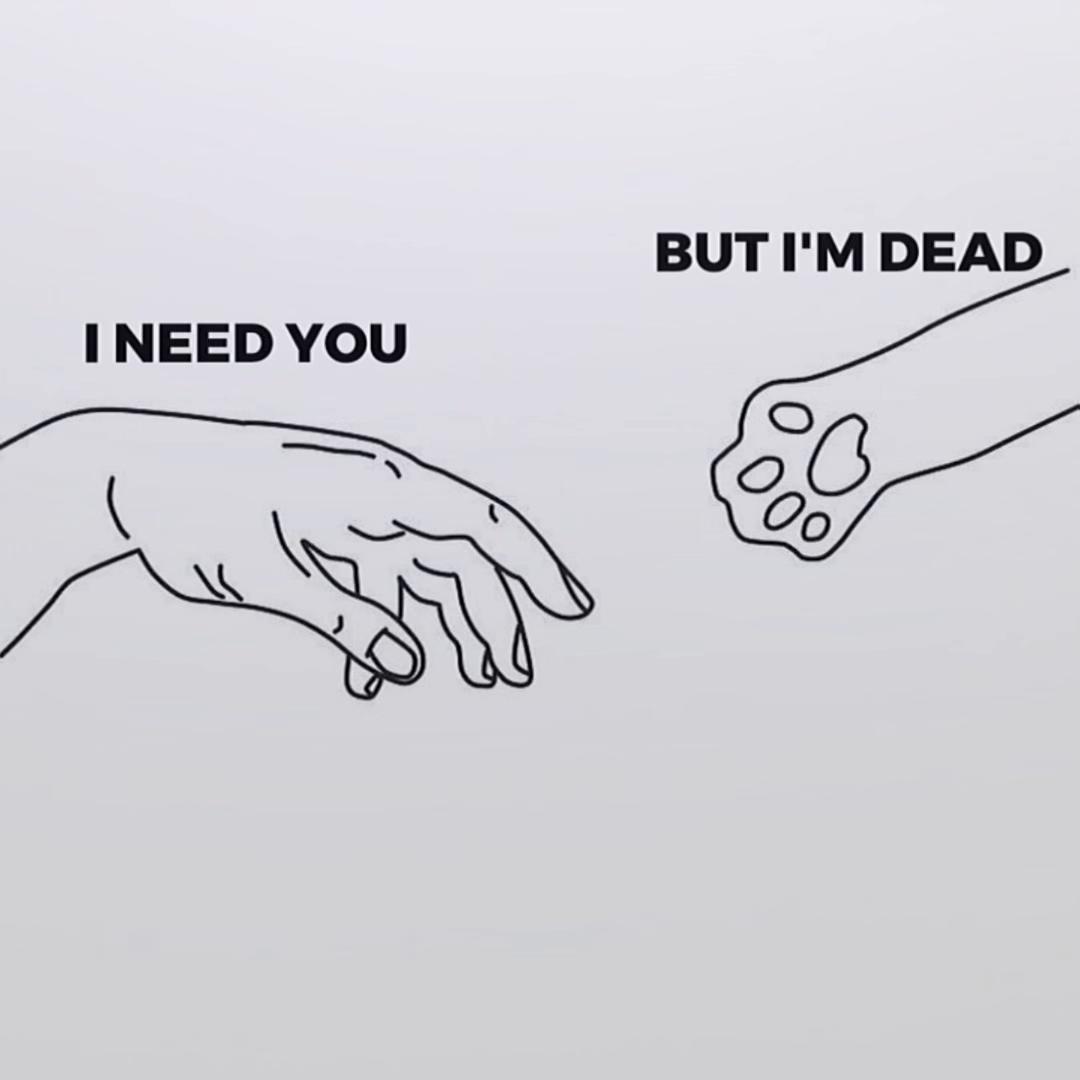 @Cassie-🖤-Camarillo 🥀
