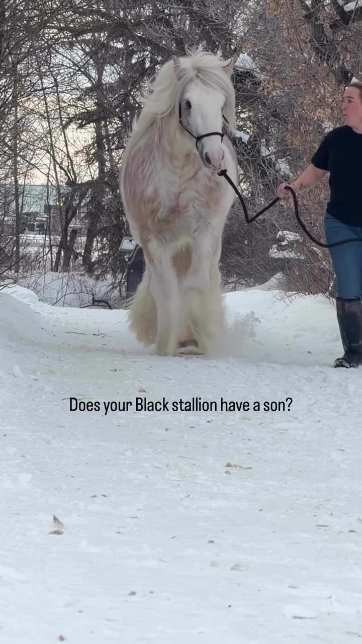 @ThunderGallops