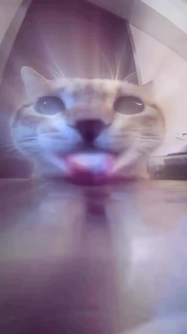 @🥧