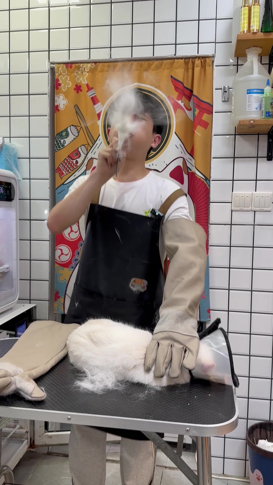 @washing.cats