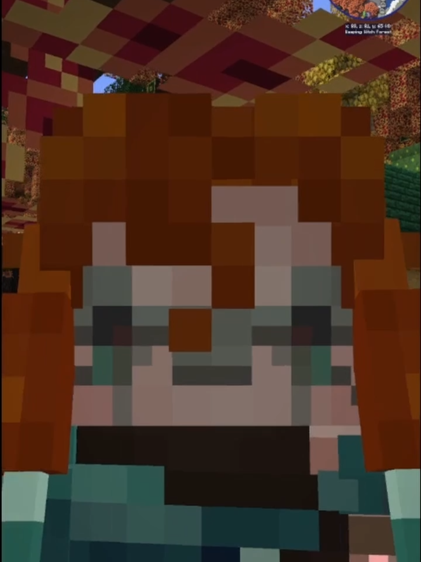 @KarmaWeaver || MCYT