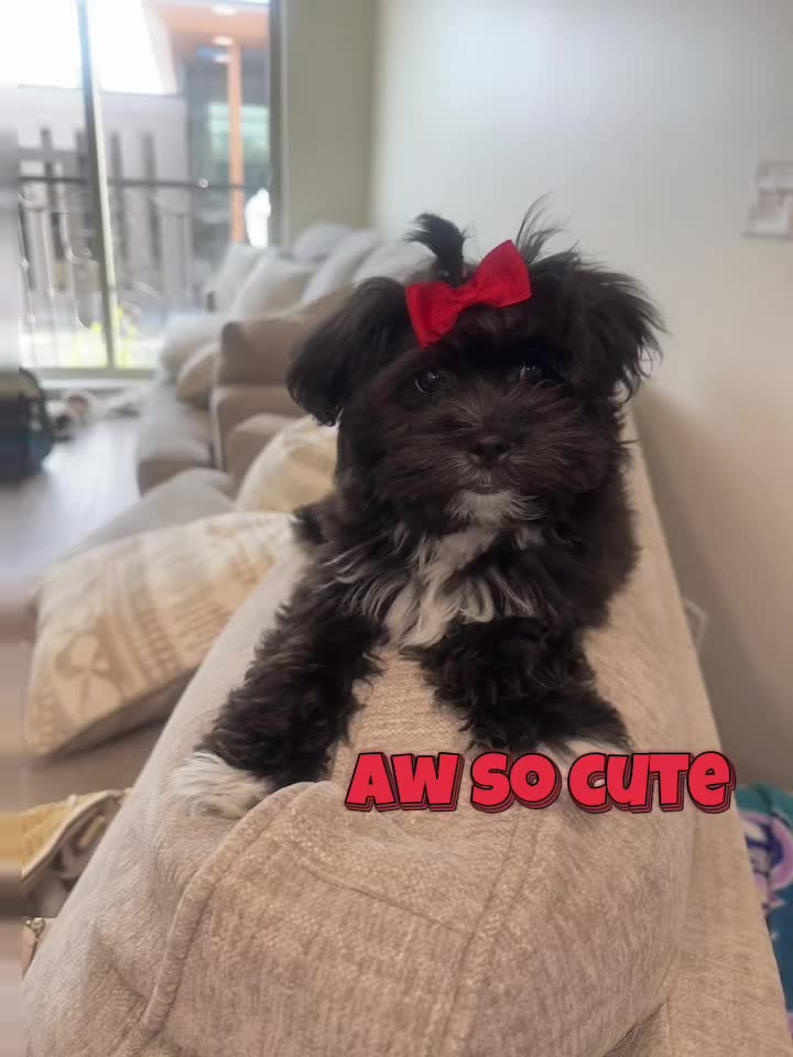@Minnie_Twist