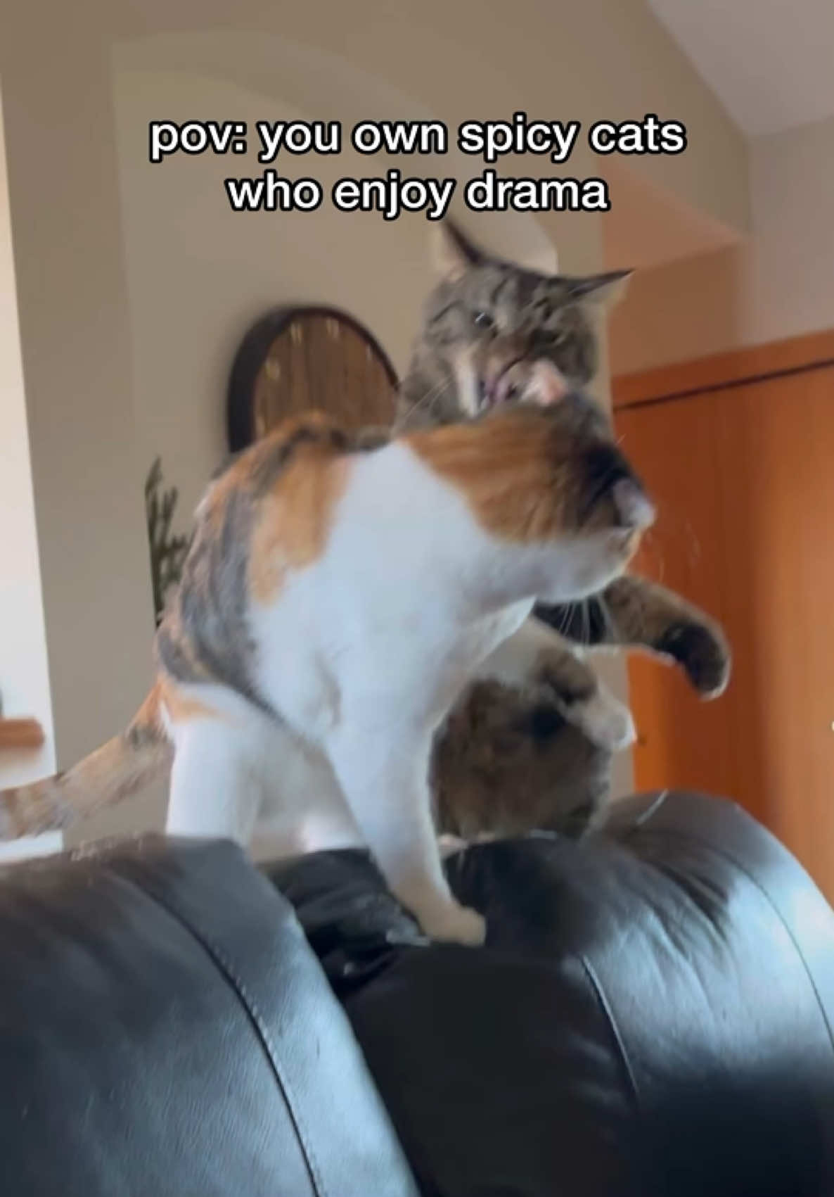 @Chip The Manx