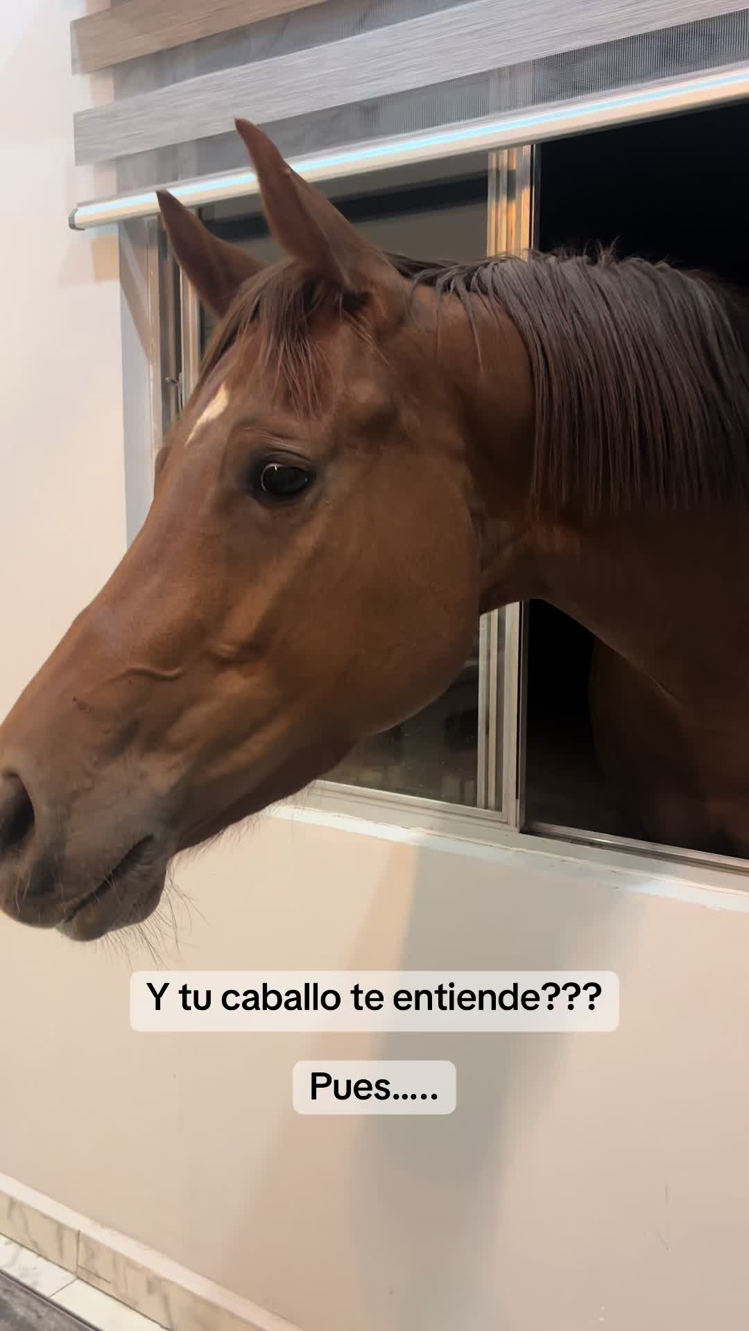 @anaelizabethcordo