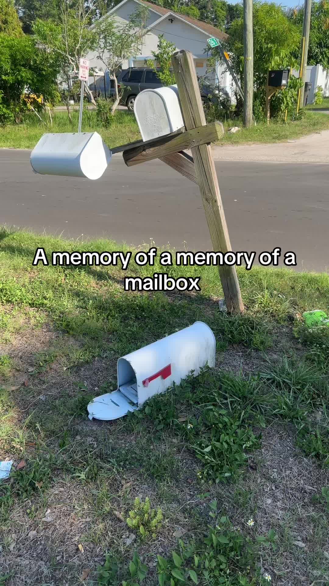 @Lexi