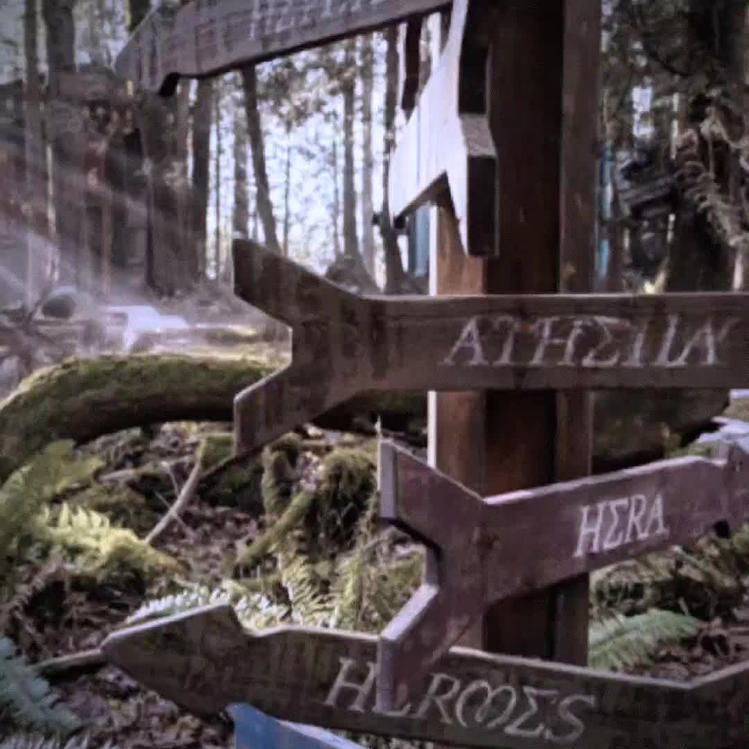 @𝖆𝖖𝖚𝖎𝖓𝖓𝖆𝖍🃏🌿