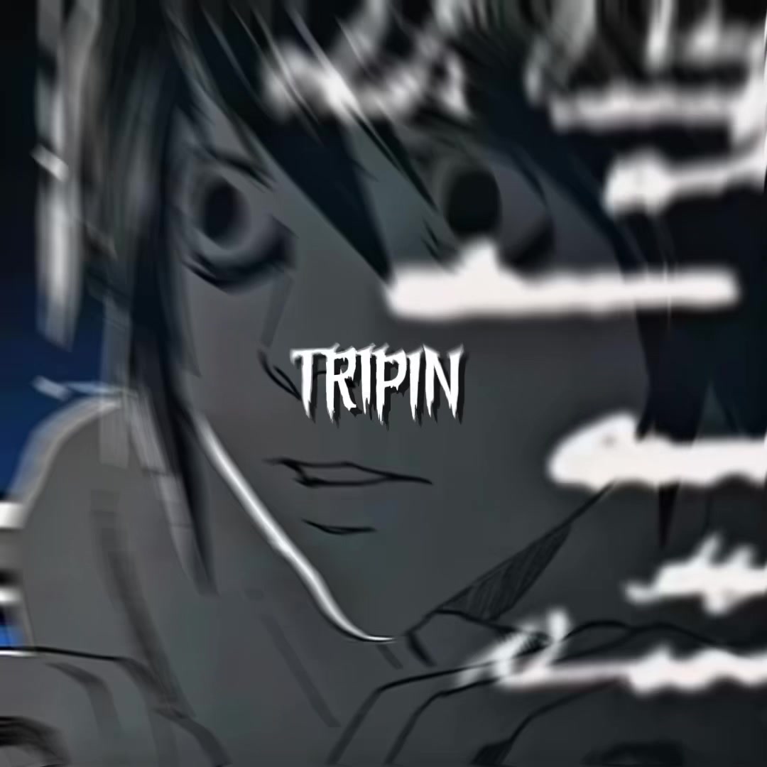 @bryce.trip1n