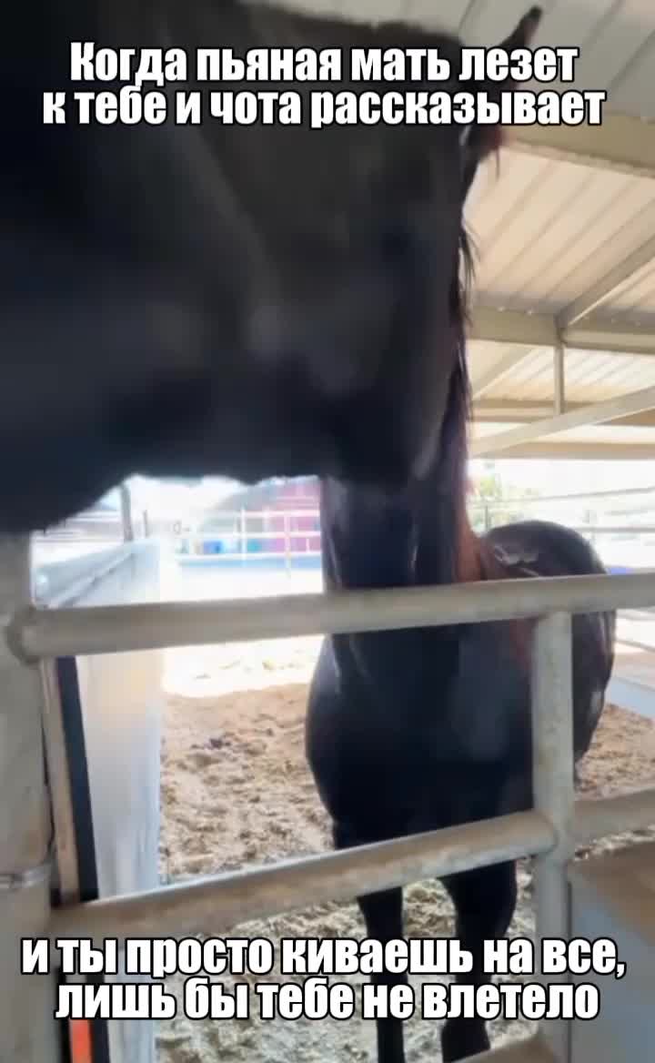 @преподобный