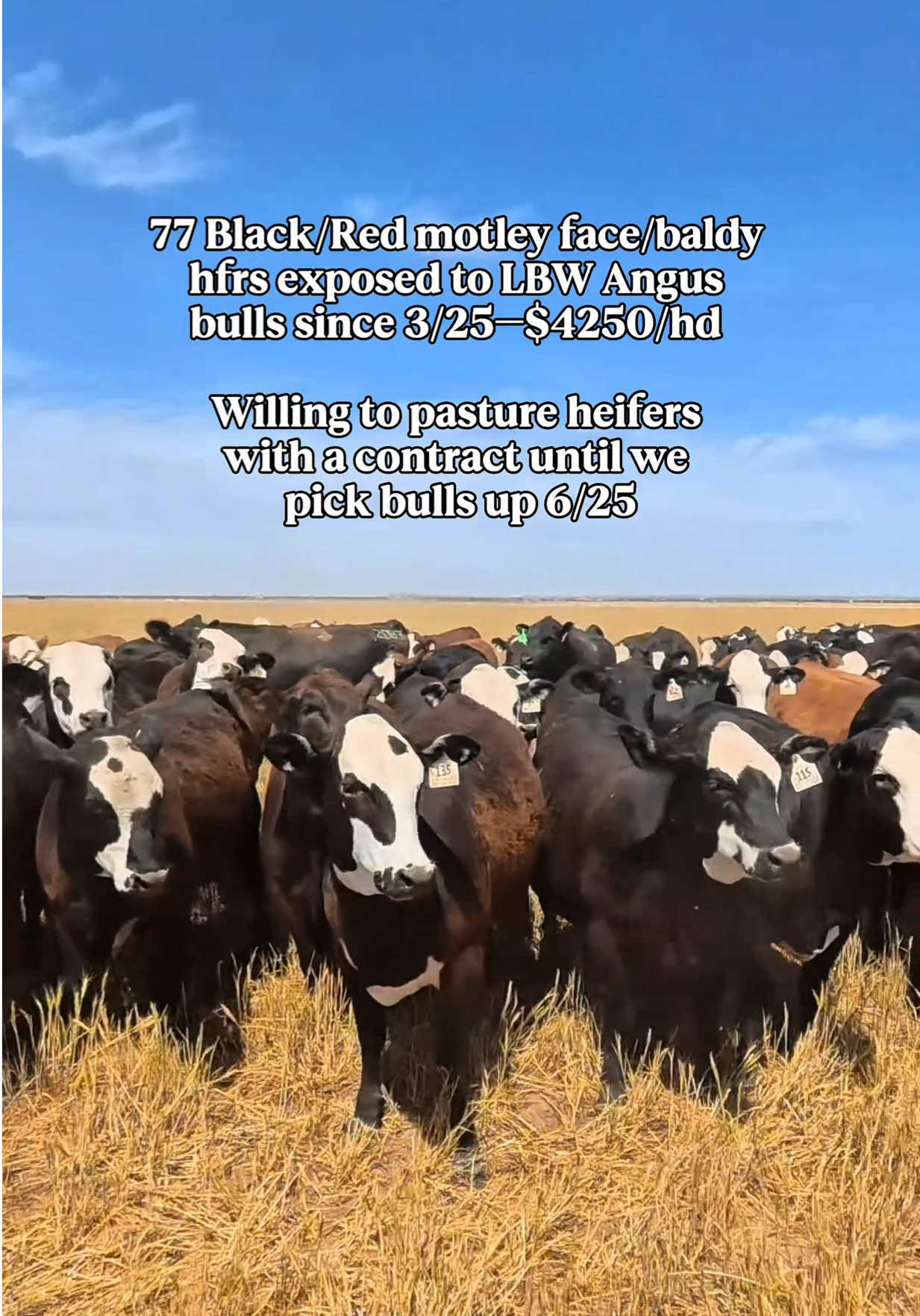 @2jfarmstx