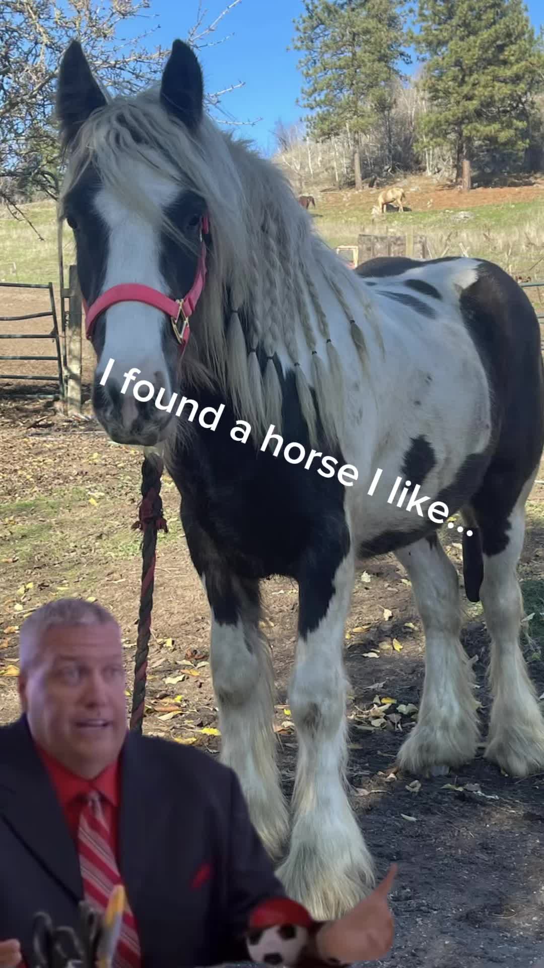 @Jodi Mcbride