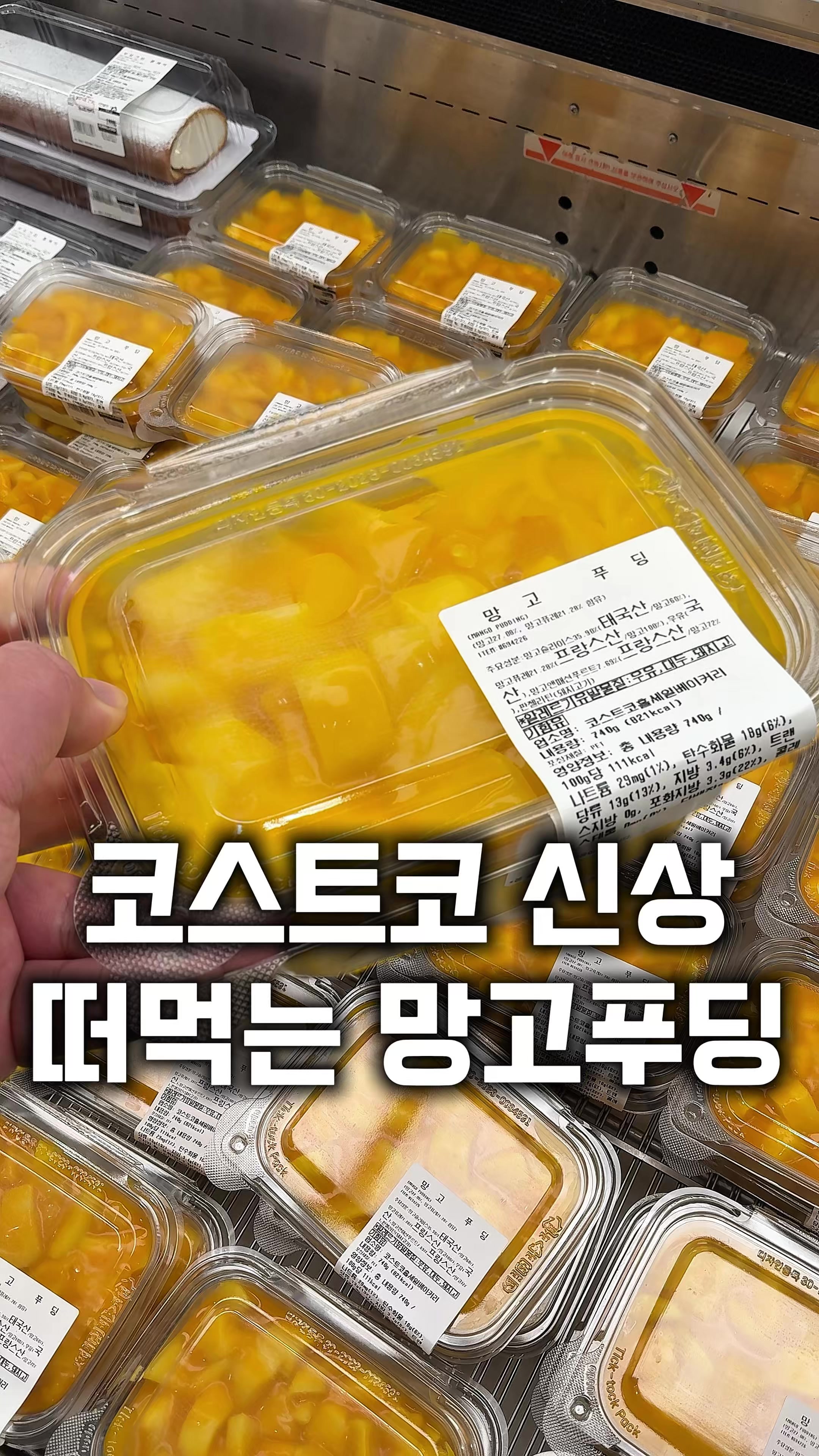 @먹보패밀리
