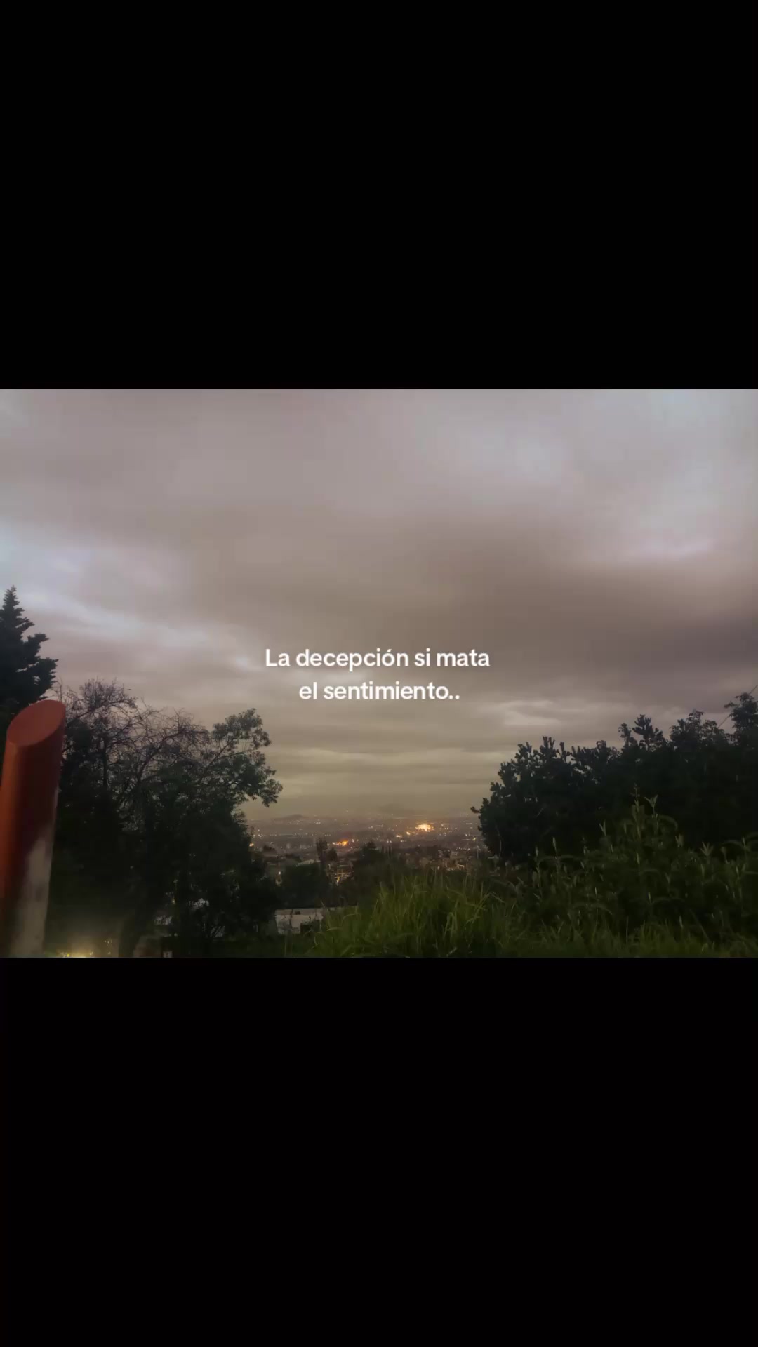 @paubonii