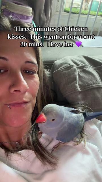 @SaraShaleen