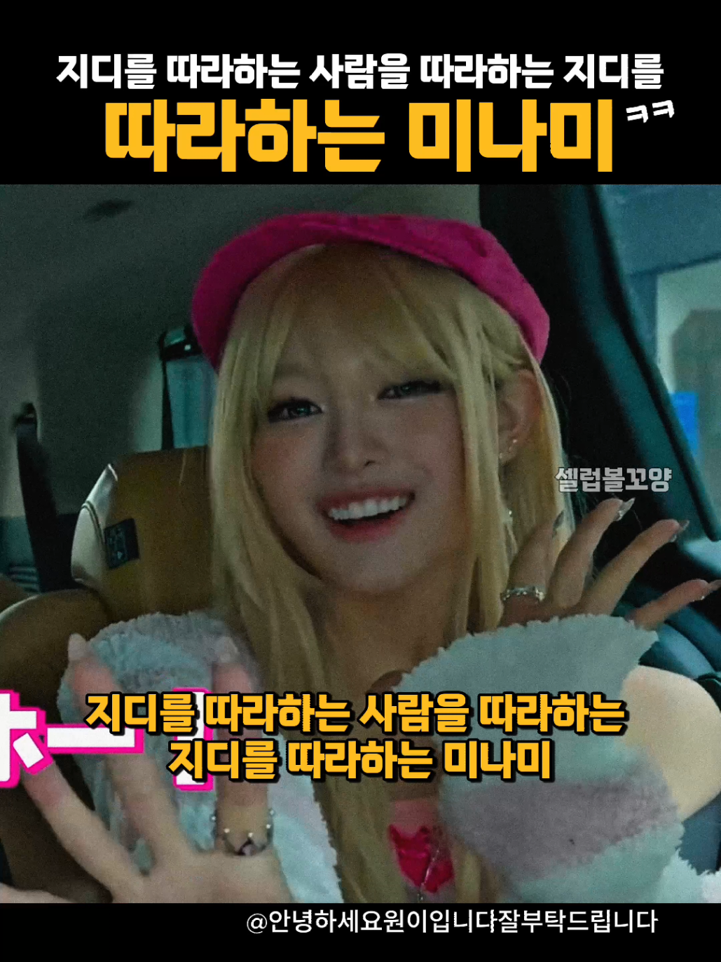 @셀럽볼꼬양