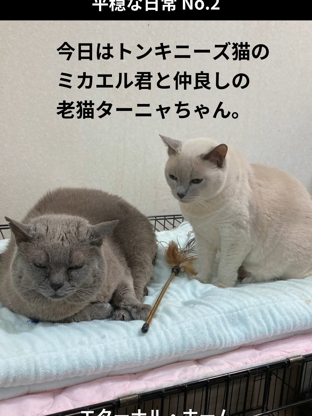 @NPO法人エターナル・ホーム