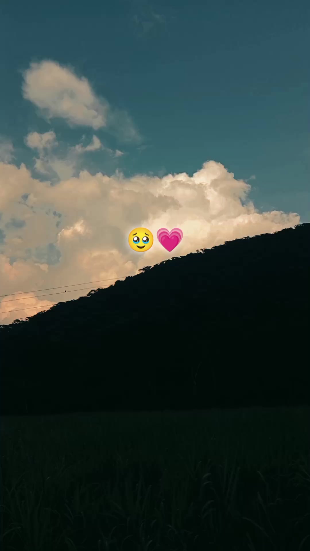 @Maya Ortiz