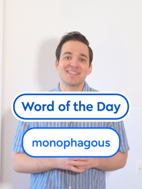 @Dictionary.com