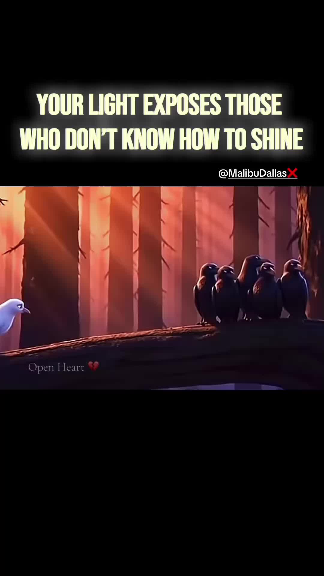 @Sheri5