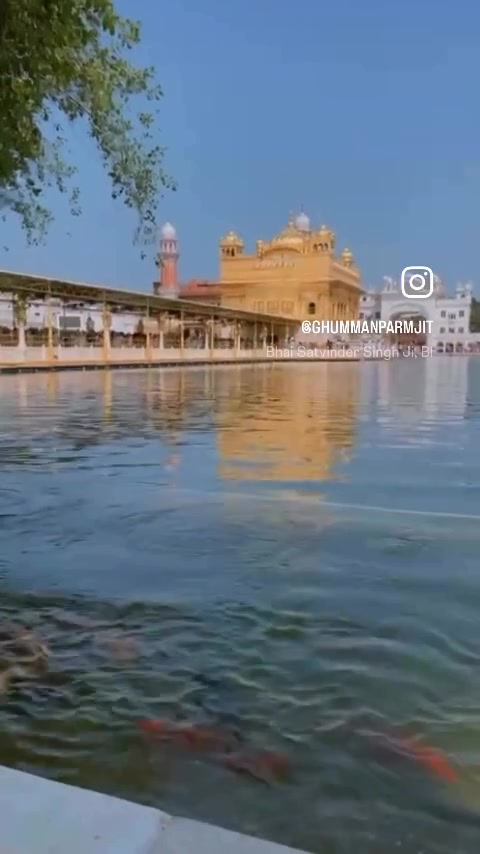 @P kaur