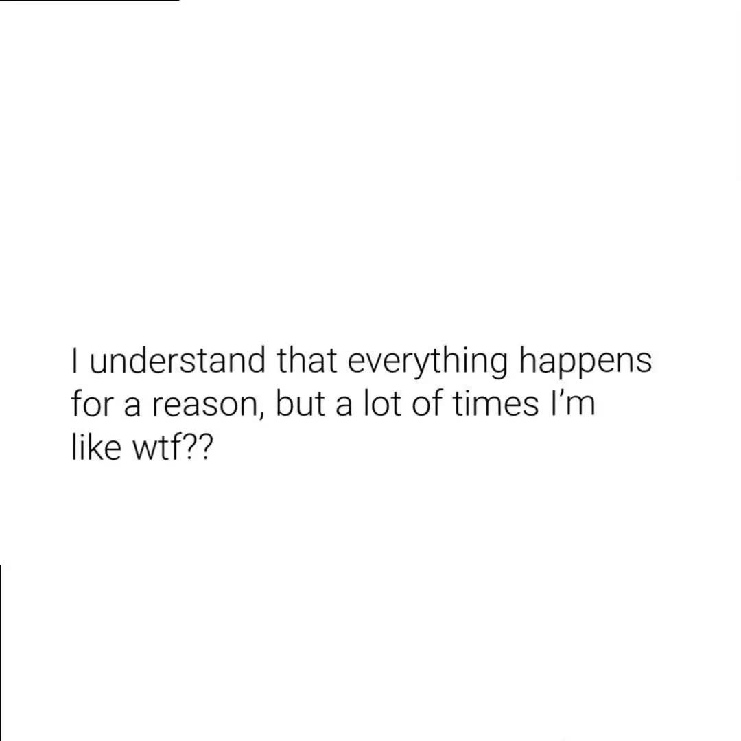 @Animal Pranks