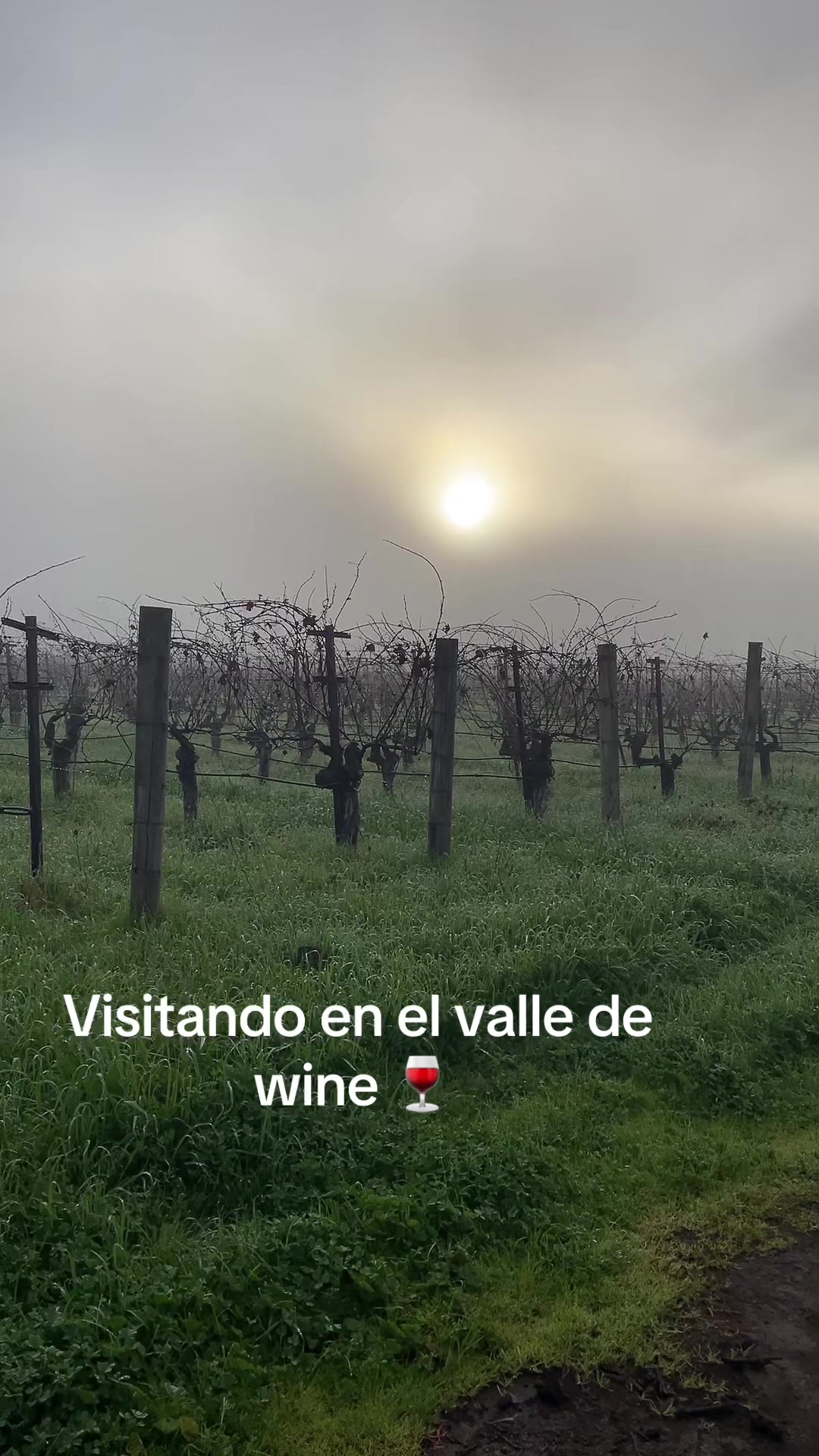 @Verónica