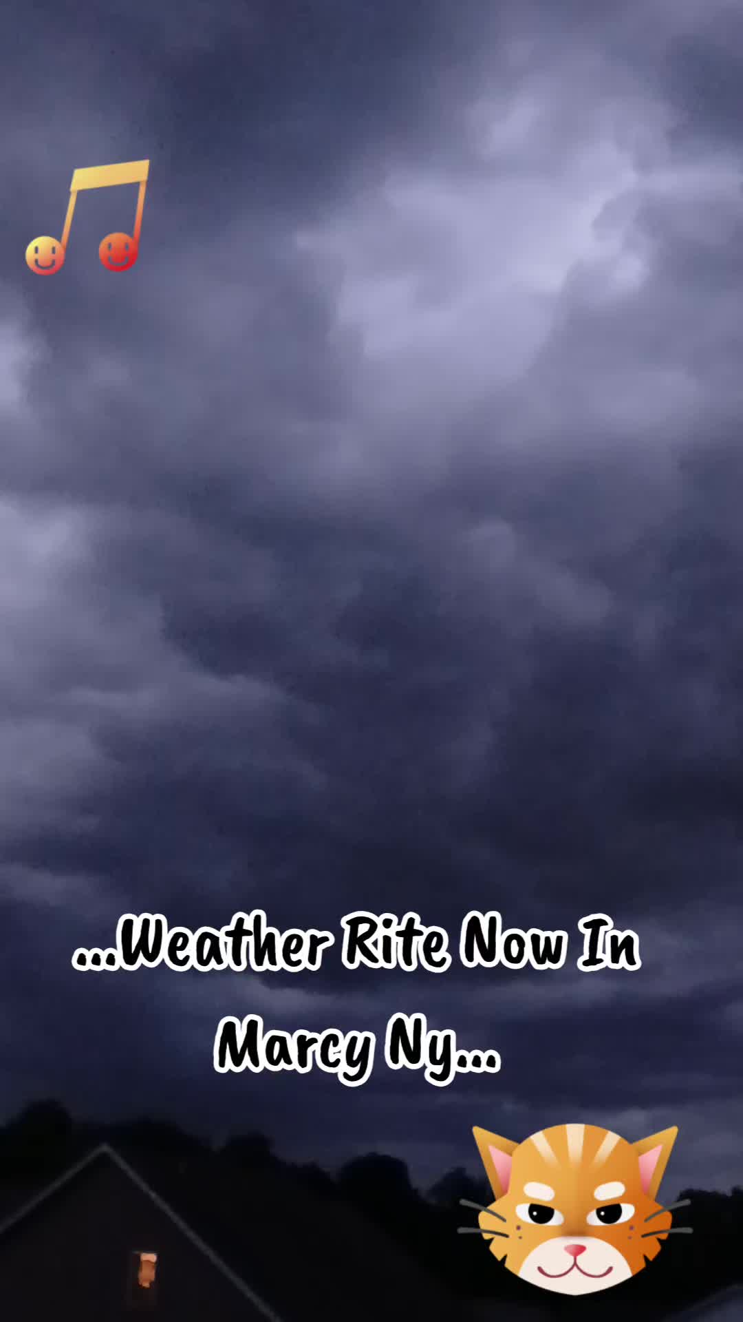 @Booh Hovey crazycatlady3