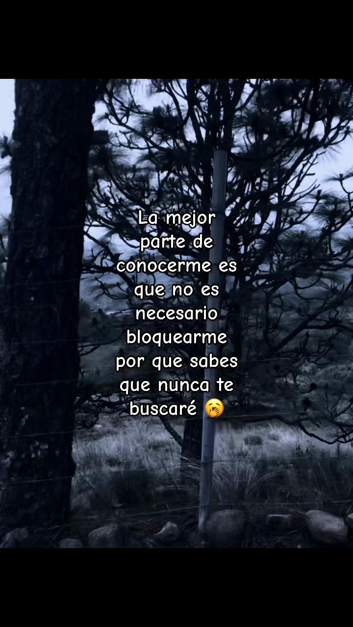 @Bella🥷🏻🖤