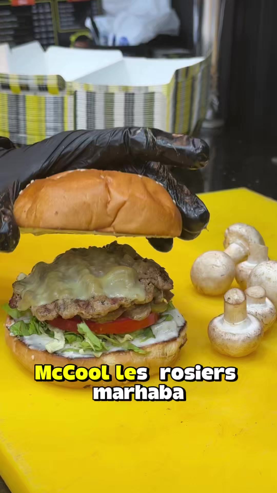 @Mc Cool Alg&eacute;rie