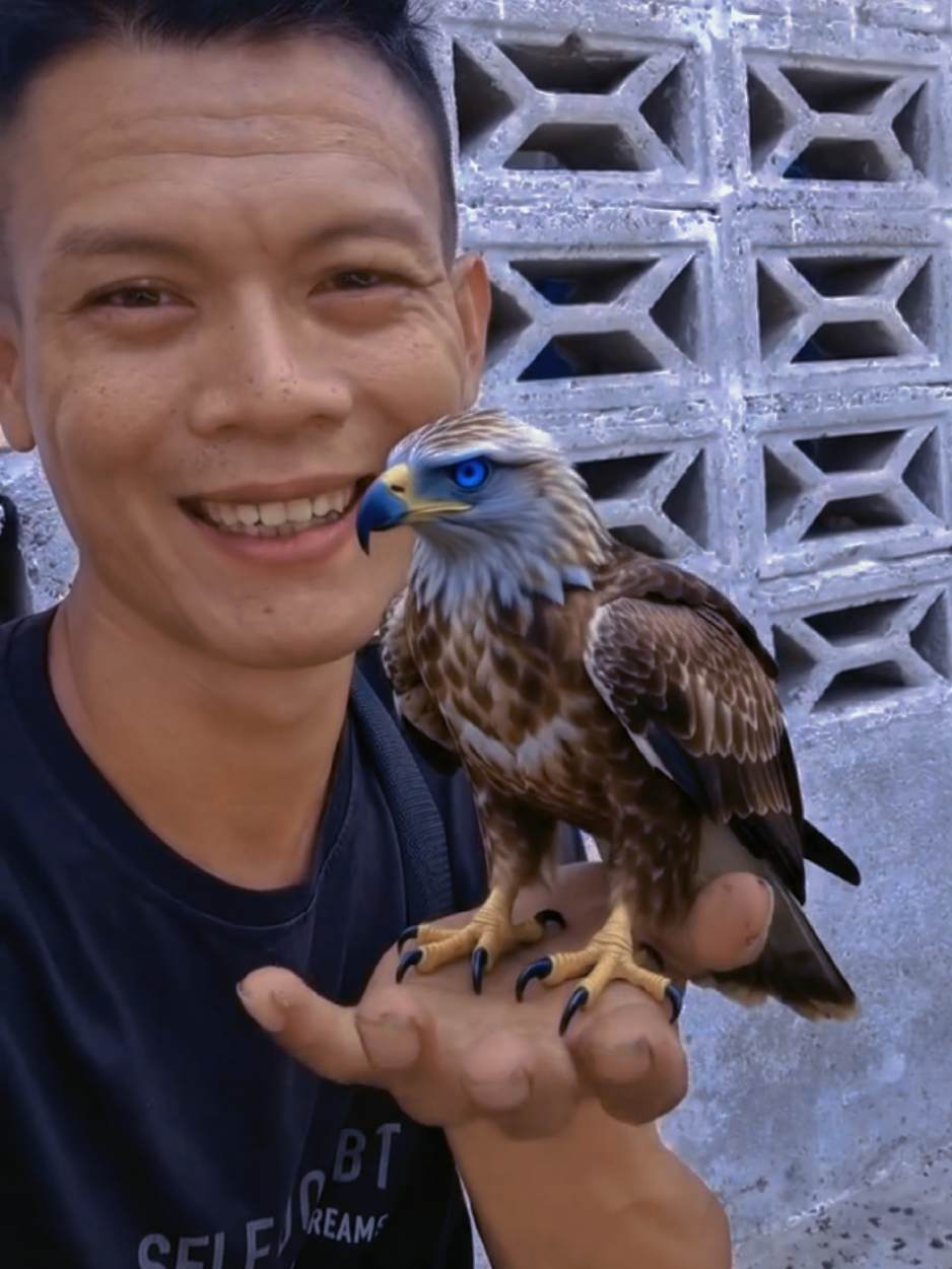 @FIQIH