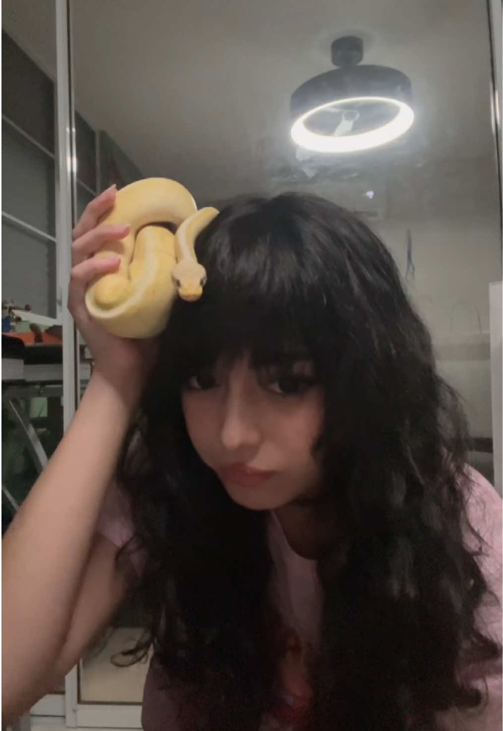 @miso