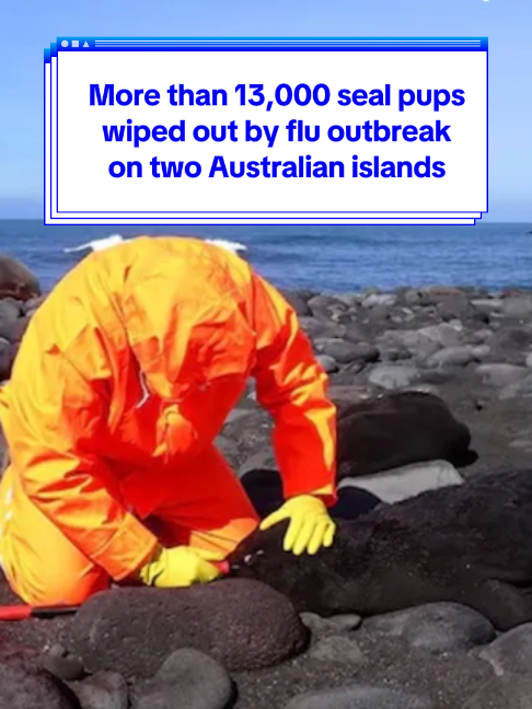 @Yahoo Australia